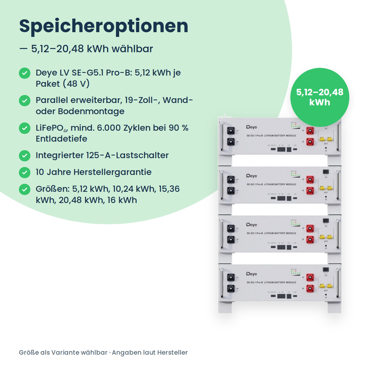 Speicheroptionen