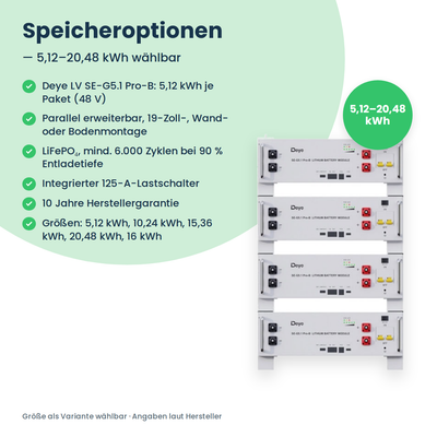 Speicheroptionen